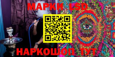 амф Сланцы