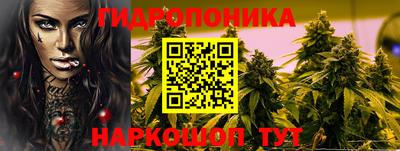 амф Сланцы