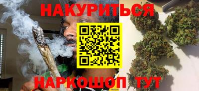 амф Сланцы