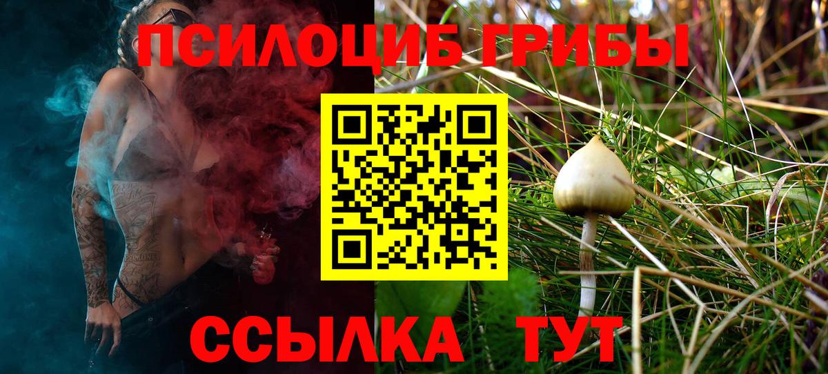 Галлюциногенные грибы ЛСД Новый Уренгой