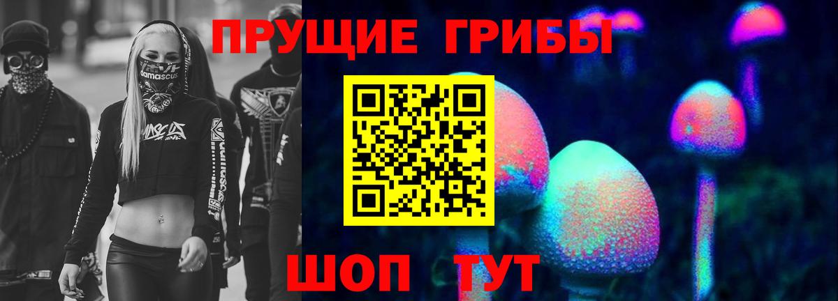 Галлюциногенные грибы GOLDEN TEACHER  Вход с VPN  Новый Уренгой  Псилоцибиновые грибы Psilocybine cubensis 